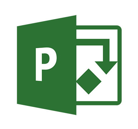 Microsoft Project Professional